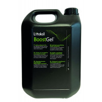 Професійний клей з високою фіксацією Litokol BoostGel каністра 10 кг