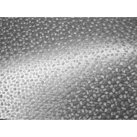 Alkorplan 3000 1.65х12.5 platinum