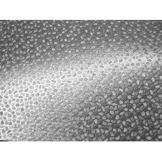 Alkorplan 3000 1.65х12.5 platinum